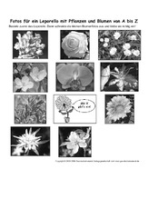Leporello-Pflanzen-A-Z-Fotos-SW-2.pdf